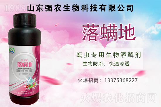 紅蜘蛛、白蜘蛛、黃蜘蛛用什么打?綜合防治怎么做?