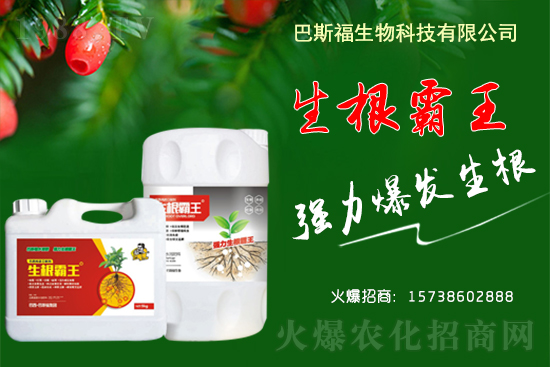 2021年4月20日全國各地大豆現(xiàn)貨報(bào)價(jià)