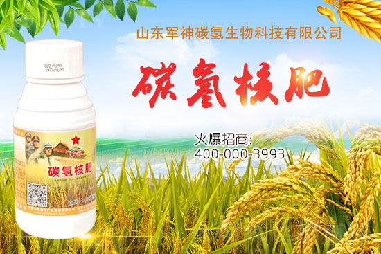 碳氫核肥是什么肥?為什么效果這么好?