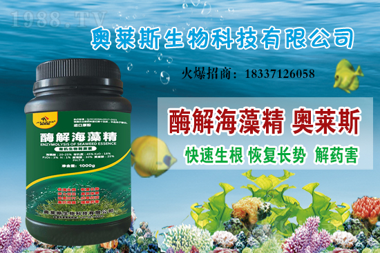 大豆價格還會上漲嗎?今日大豆價格行情