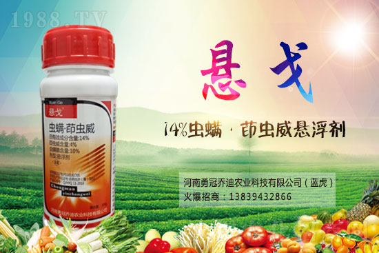 2021年5月13日殺蟲劑價格快訊