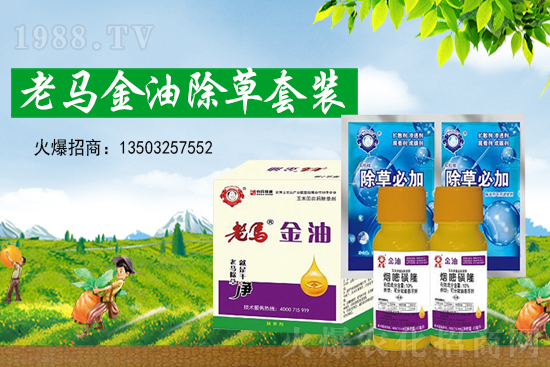 ���ȷ����ѳ��݄��r(ji��)���߄�2021��5��18��