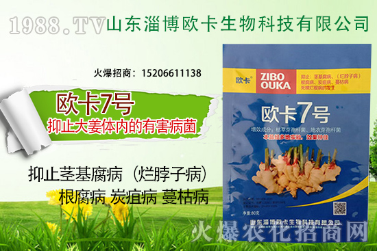 �W�������ٺ�1988.TV������(sh��)�F(xi��n)��I(y��)�v�w����