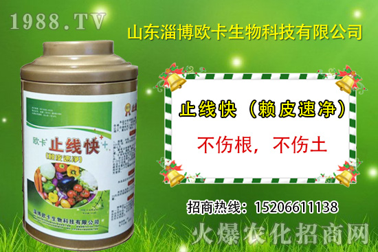 �W�������ٺ�1988.TV������(sh��)�F(xi��n)��I(y��)�v�w����