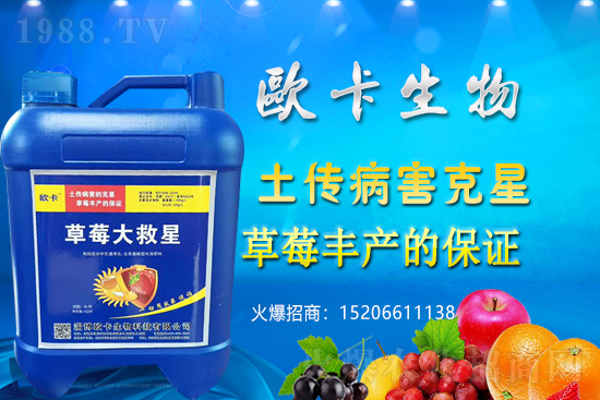 �W�������ٺ�1988.TV������(sh��)�F(xi��n)��I(y��)�v�w����