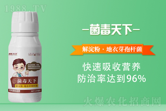 2021年6月17日國內(nèi)花生價格行情