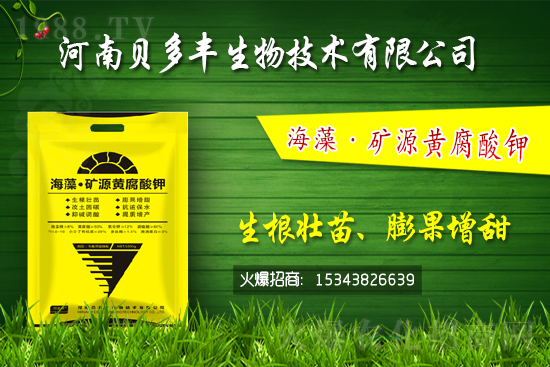 果樹黃化的原因是缺鐵嗎？果樹黃化噴施硫酸亞鐵怎么樣？