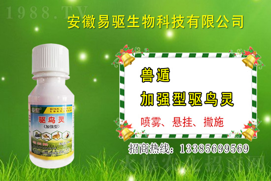 大雨或大水漫灌過(guò)后，玉米粉籽、爛種、爛苗怎么辦？