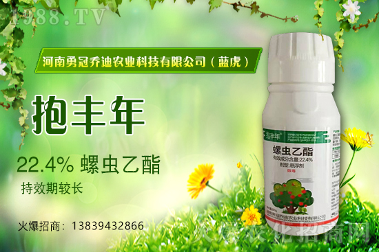 合作升級，勇冠喬迪（藍虎）再簽1988.TV，共創(chuàng)新輝煌！