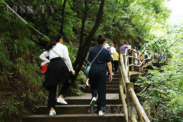 ǧ��֮����ʼ������