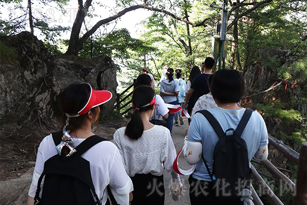 �ʵǸ߷�����ֹ������