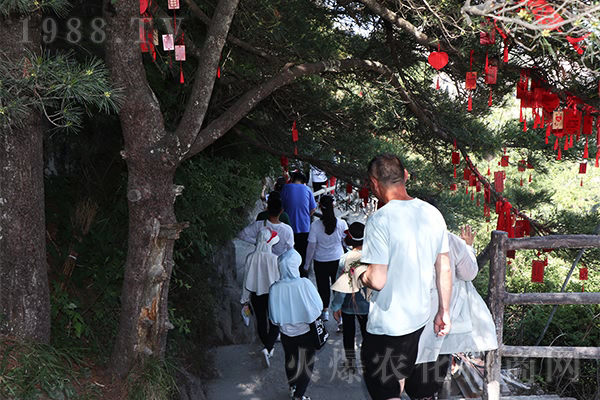 �I(l��ng)��ɽ�� Ʒ���Ļ�