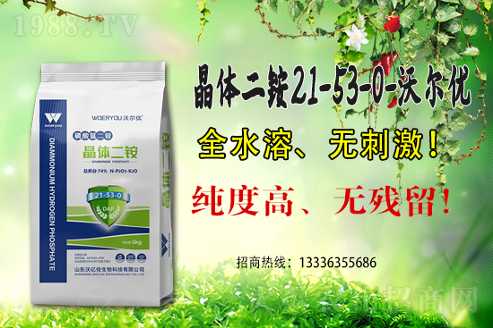 一銨延續(xù)高位，2021.6.25磷銨價(jià)格行情早報(bào)