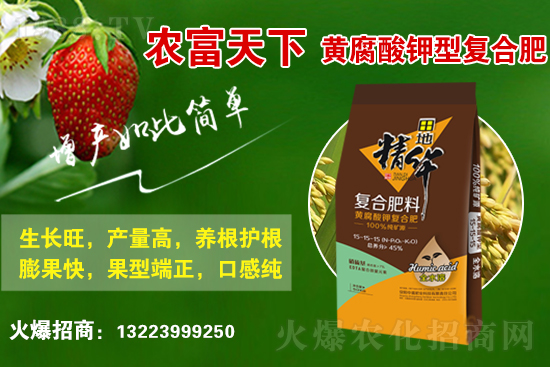 復(fù)合肥市場行情分析，2021年6月25日化肥市場價(jià)格行情