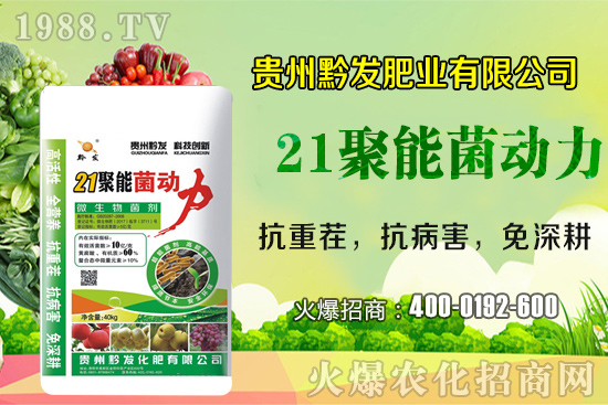 黔發(fā)肥業(yè)再度攜手1988.TV，攜手打造招商奇跡！