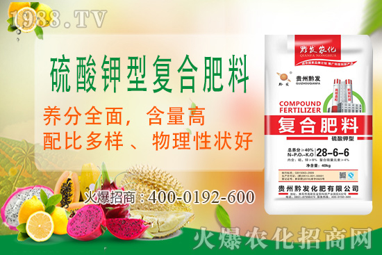 黔發(fā)肥業(yè)再度攜手1988.TV，攜手打造招商奇跡！