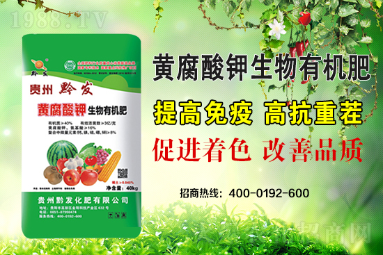 黔發(fā)肥業(yè)再度攜手1988.TV，攜手打造招商奇跡！