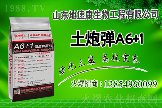    �����P(gu��n)ϵ�����A��ɽ�|���ٿ��c1988.TV�_����ƪ�£�