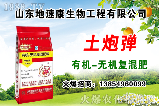    �����P(gu��n)ϵ�����A��ɽ�|���ٿ��c1988.TV�_����ƪ����