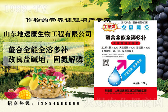    �����P(gu��n)ϵ�����A��ɽ�|���ٿ��c1988.TV�_����ƪ�£�