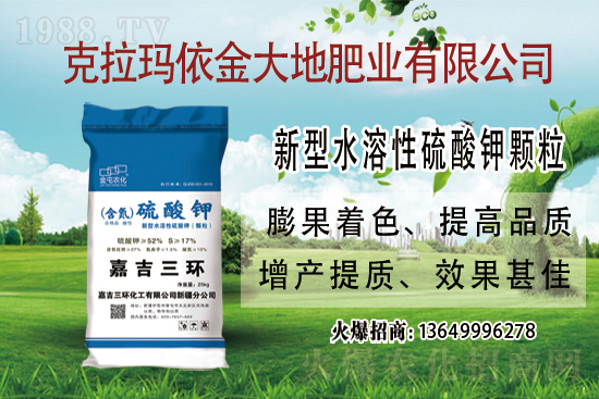 鉀肥市場(chǎng)保持堅(jiān)挺走勢(shì)！今日鉀肥價(jià)格走勢(shì)及交易日評(píng)