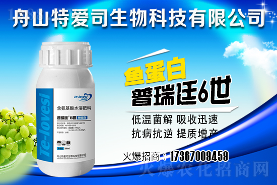 ���g�{(di��o)��