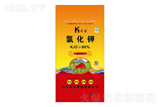 ⛷ʃr���q��2021��7��19��⛷ʃr�������Ո�