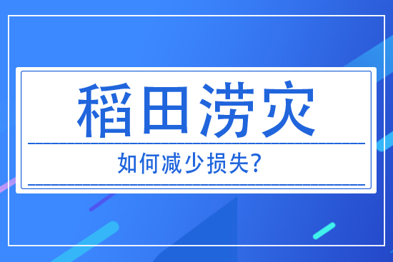 稻田澇災發(fā)生后，如何減少損失？