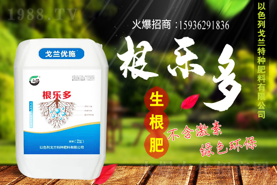 以色列戈蘭再續(xù)1988.TV，共謀合作新發(fā)展！