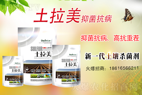 智利道西姆再簽1988.TV,開啟網(wǎng)絡(luò)招商新模式!