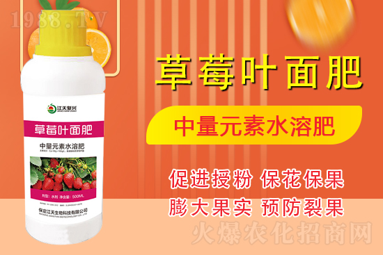 合作發(fā)展,共創(chuàng)未來,江天生物簽約1988.TV,共創(chuàng)新輝煌!