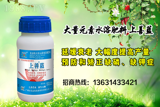 廣州市先益農(nóng)再度攜手1988.TV，攜手共創(chuàng)新戰(zhàn)績！