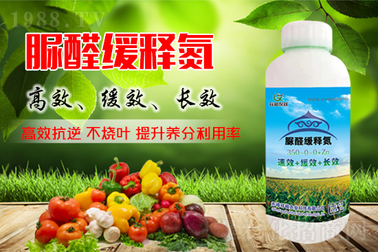 尿素期貨主力合約大幅上漲，尿素價(jià)格會(huì)如何變化？