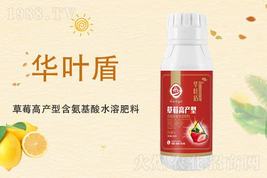 ���؃r���q��2021��9��18�����؃r�������߄�