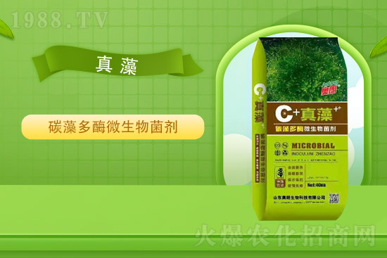 氯化鉀價格平穩(wěn)，2021年9月2日國內(nèi)鉀肥價格走勢