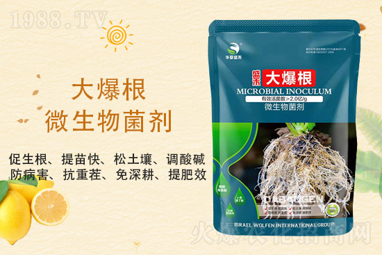 二銨價(jià)格持穩(wěn),2021年9月3日磷銨價(jià)格行情分析