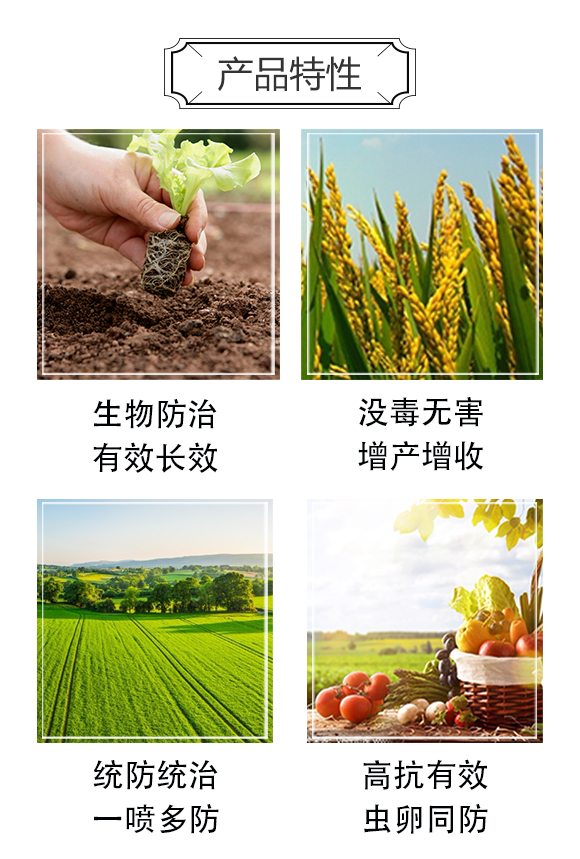 蚜虱落-強(qiáng)農(nóng)生物_04