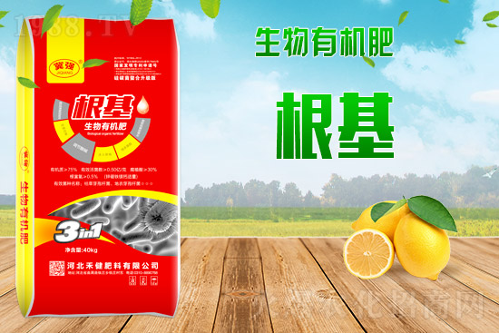 2021年9月9日鉀肥價格行情早報