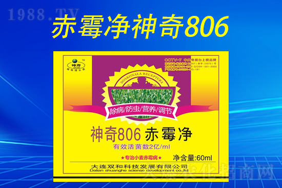 合作再升級(jí)！大連雙和科技再簽1988.TV，共創(chuàng)新輝煌！