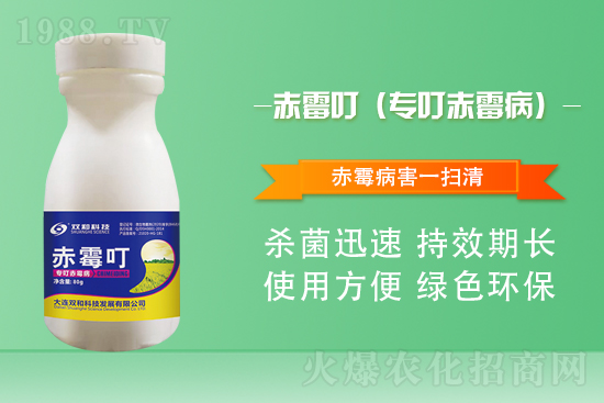 合作再升級(jí)！大連雙和科技再簽1988.TV，共創(chuàng)新輝煌！