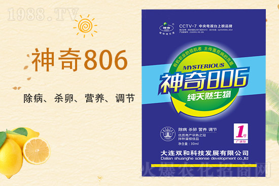 合作再升級(jí)！大連雙和科技再簽1988.TV，共創(chuàng)新輝煌！