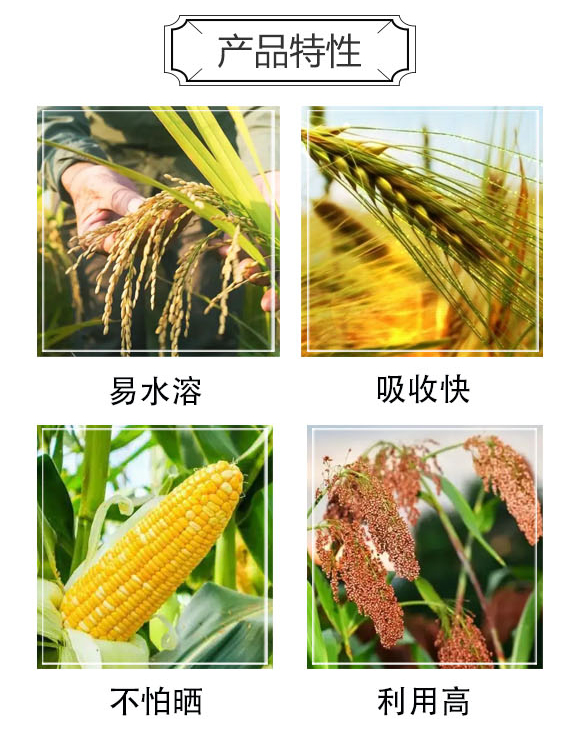 氨基酸有機氮肥-大化肥業(yè)_03