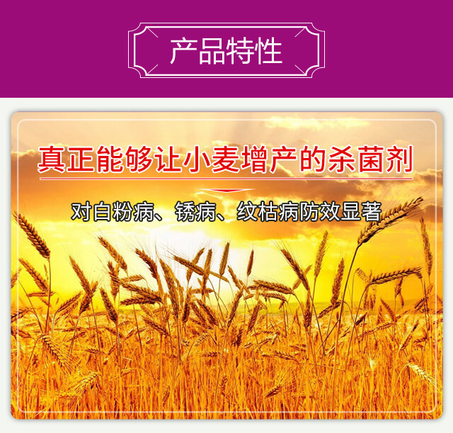 穗安-企標(biāo)_03