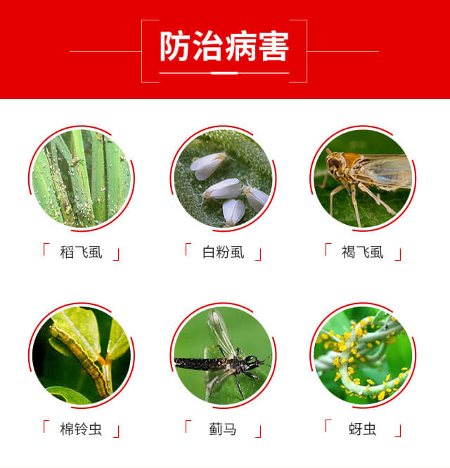 噻蟲·高氯氟-藍虎品牌_04