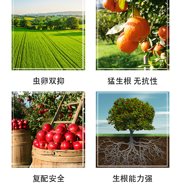 深圳市螢火蟲化學(xué)有限公司-單打獨(dú)斗_05