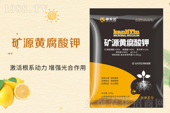 �r(n��ng)���W(w��ng)ϲӭ�����ѣ����R��ɹ����s1988.TV��