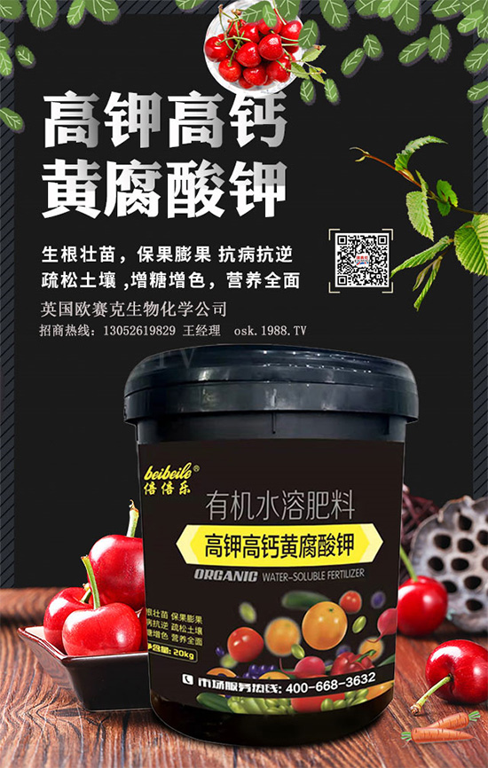 一袋黃腐酸鉀=生根+土壤改良+有機肥!黃腐酸鉀為何如此神奇?