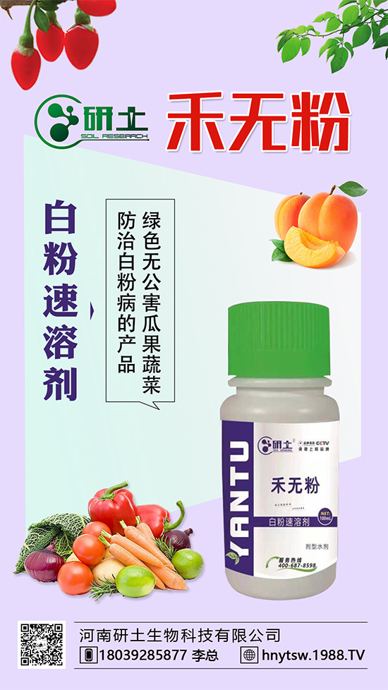 葡萄白粉病即將爆發(fā)!如何巧妙分辨白粉?