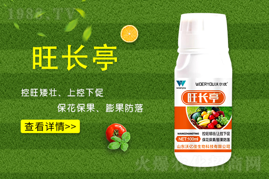 什么是黃瓜旺長?黃瓜旺長的防控措施