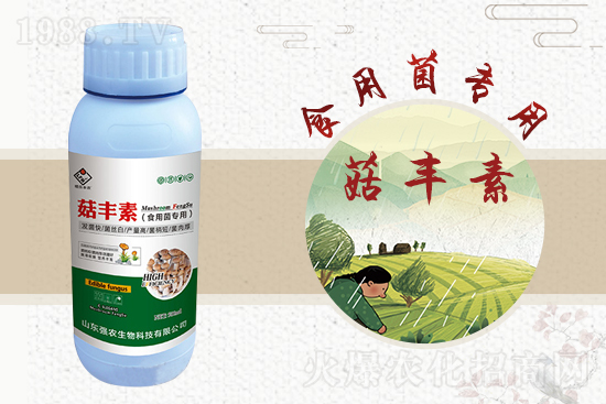 平菇栽培要點，需要注意哪些事項？